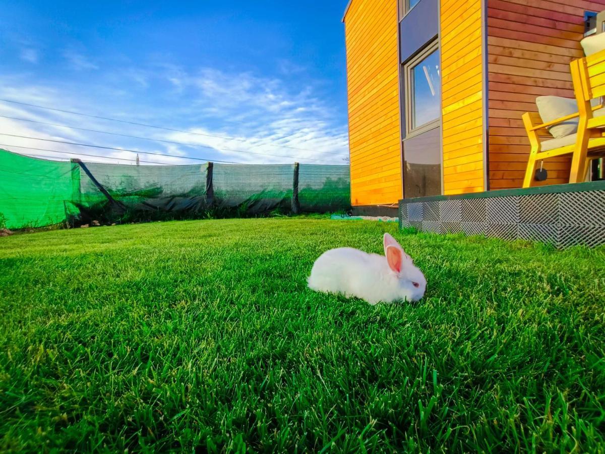 Готель Tiny House - Бая-де-Ф'єр Екстер'єр фото