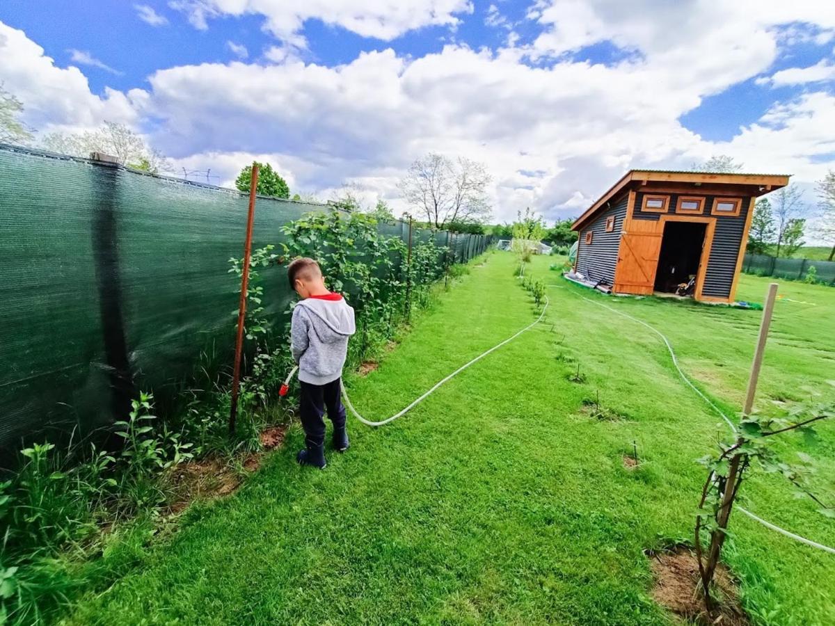 Готель Tiny House - Бая-де-Ф'єр Екстер'єр фото